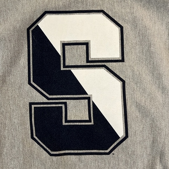 Champion Penn State Nittany Lions Reverse Weave Crewneck Sweatshirt Medium Gray - Picture 10 of 13